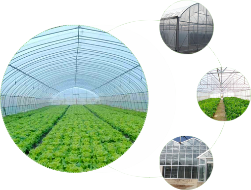 博瀚農(nóng)業(yè) 博瀚農(nóng)業(yè)